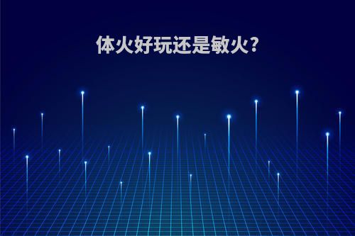 体火好玩还是敏火?