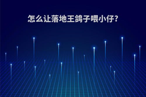 怎么让落地王鸽子喂小仔?