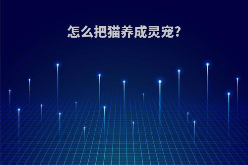 怎么把猫养成灵宠?
