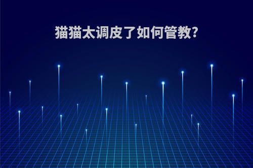 猫猫太调皮了如何管教?