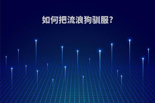 如何把流浪狗驯服?