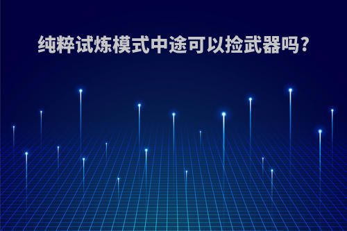 纯粹试炼模式中途可以捡武器吗?