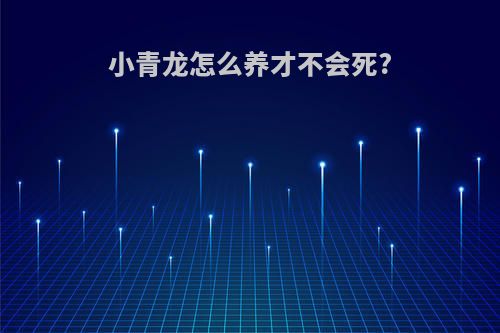 小青龙怎么养才不会死?