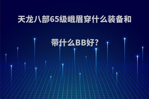 天龙八部65级峨眉穿什么装备和带什么BB好?