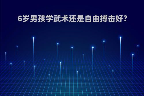 6岁男孩学武术还是自由搏击好?