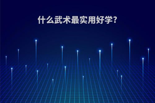 什么武术最实用好学?