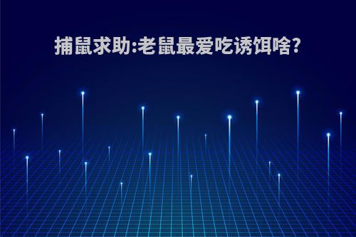 捕鼠求助:老鼠最爱吃诱饵啥?