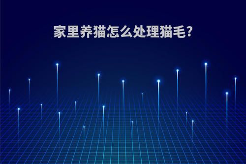 家里养猫怎么处理猫毛?