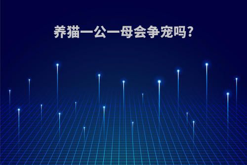 养猫一公一母会争宠吗?