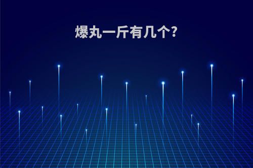 爆丸一斤有几个?
