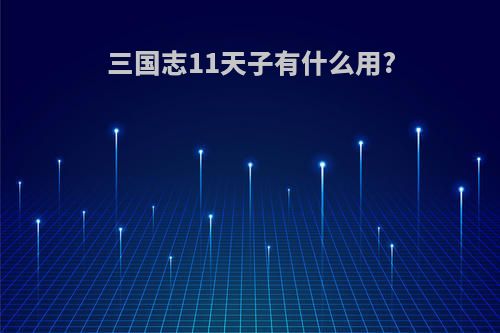 三国志11天子有什么用?
