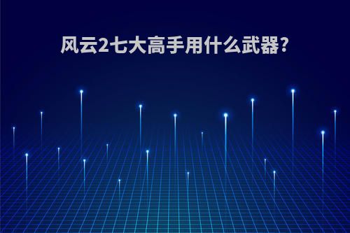 风云2七大高手用什么武器?