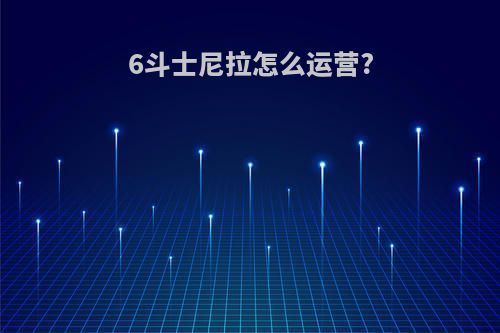 6斗士尼拉怎么运营?