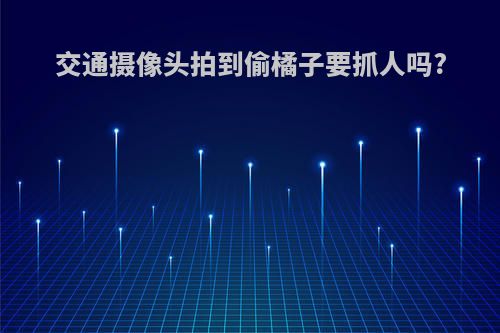 交通摄像头拍到偷橘子要抓人吗?
