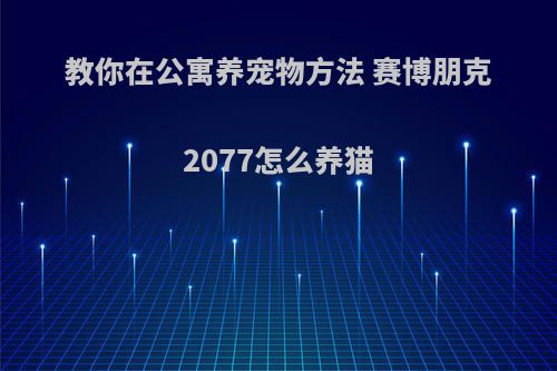教你在公寓养宠物方法 赛博朋克2077怎么养猫