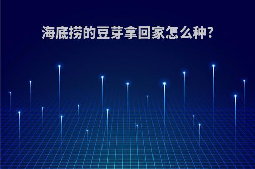 海底捞的豆芽拿回家怎么种?
