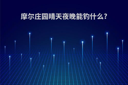 摩尔庄园晴天夜晚能钓什么?