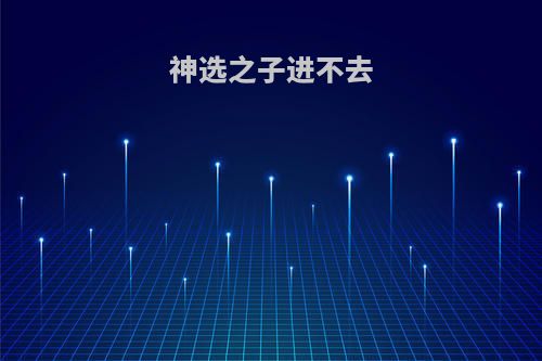 神选之子进不去