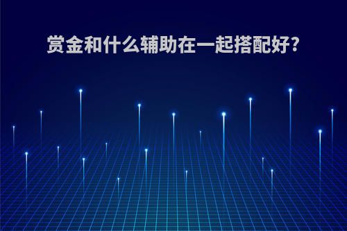 赏金和什么辅助在一起搭配好?