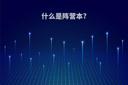 什么是阵营本?