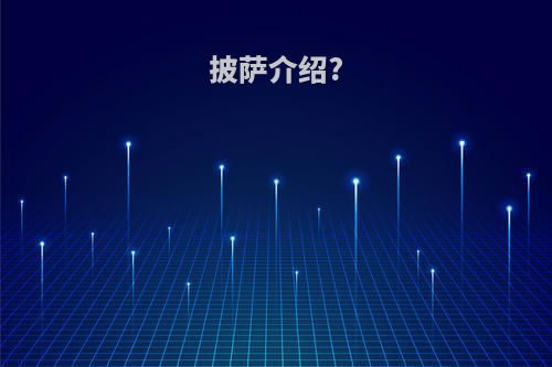 披萨介绍?