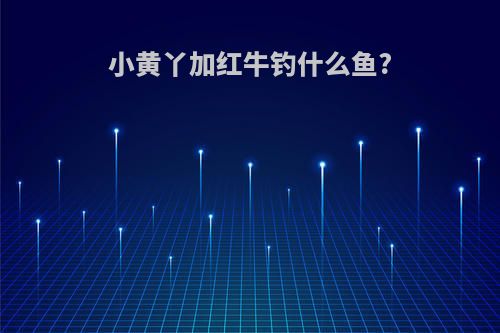 小黄丫加红牛钓什么鱼?