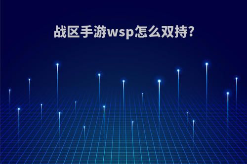 战区手游wsp怎么双持?