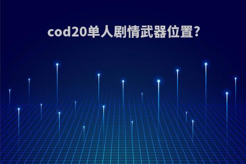 cod20单人剧情武器位置?