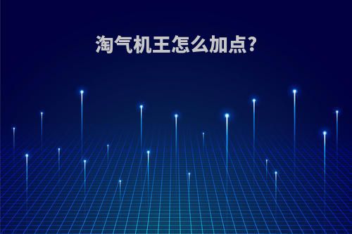 淘气机王怎么加点?