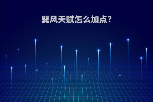 巽风天赋怎么加点?