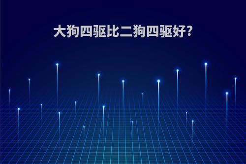 大狗四驱比二狗四驱好?