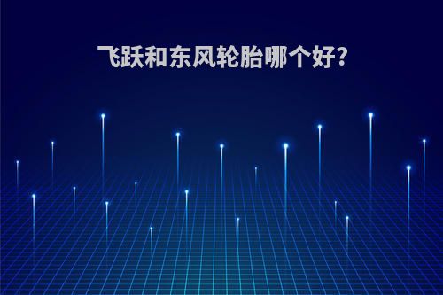 飞跃和东风轮胎哪个好?