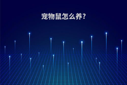 宠物鼠怎么养?