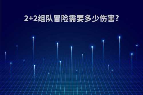2+2组队冒险需要多少伤害?