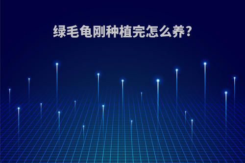绿毛龟刚种植完怎么养?