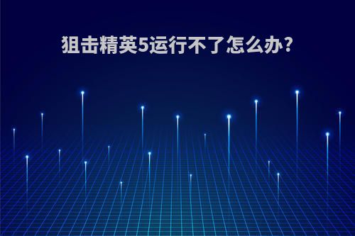 狙击精英5运行不了怎么办?