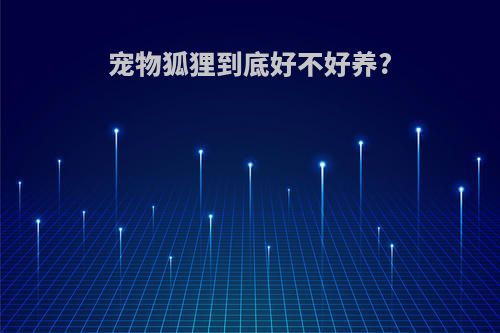 宠物狐狸到底好不好养?