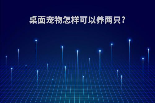 桌面宠物怎样可以养两只?