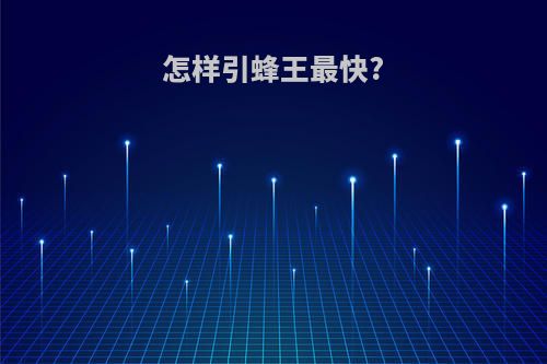 怎样引蜂王最快?
