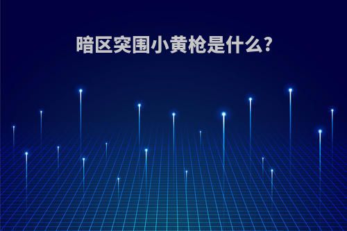 暗区突围小黄枪是什么?