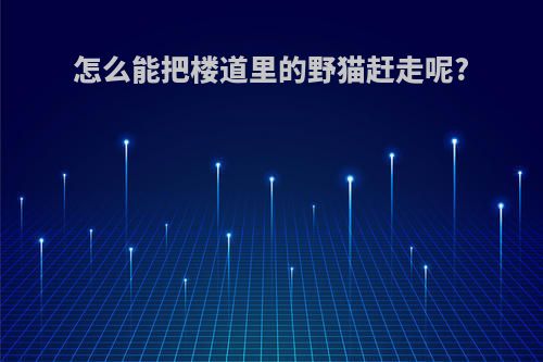 怎么能把楼道里的野猫赶走呢?